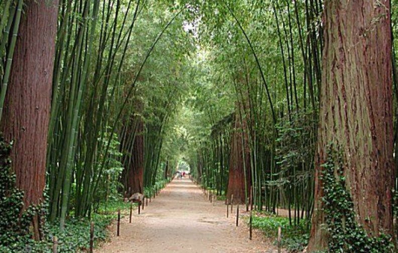 The Bamboo Cevennes, Générargues, France, France